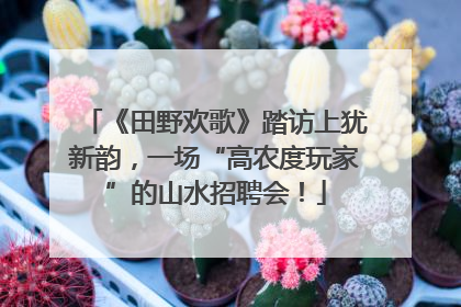 《田野欢歌》踏访上犹新韵，一场“高农度玩家”的山水招聘会！