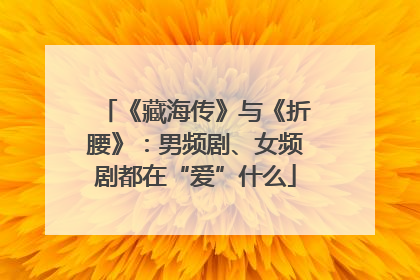 《藏海传》与《折腰》：男频剧、女频剧都在“爱”什么