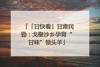 「甘快看」甘肃民勤：戈壁沙乡孕育“甘味”领头羊