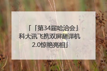 「第34届哈洽会」科大讯飞携双屏翻译机2.0惊艳亮相