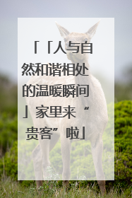 「人与自然和谐相处的温暖瞬间」家里来“贵客”啦