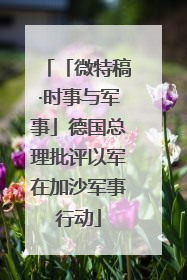 「微特稿·时事与军事」德国总理批评以军在加沙军事行动