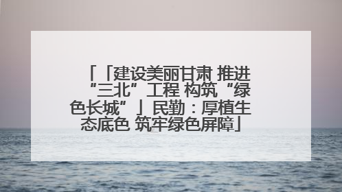 「建设美丽甘肃 推进“三北”工程 构筑“绿色长城”」民勤：厚植生态底色 筑牢绿色屏障