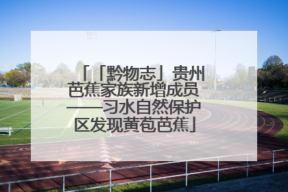 「黔物志」贵州芭蕉家族新增成员——习水自然保护区发现黄苞芭蕉