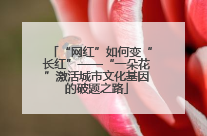 “网红”如何变“长红”——“一朵花”激活城市文化基因的破题之路