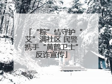 “粽”情守护“艾”满社区 民警携手“黄鹤卫士”反诈宣传