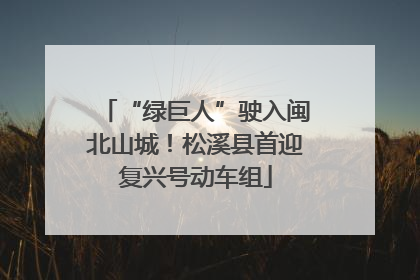 “绿巨人”驶入闽北山城！松溪县首迎复兴号动车组