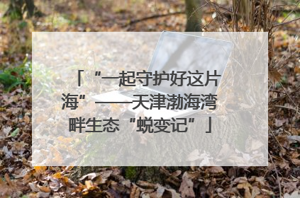 “一起守护好这片海”——天津渤海湾畔生态“蜕变记”