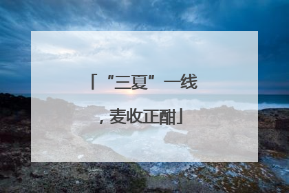 “三夏”一线，麦收正酣