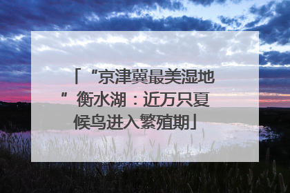 “京津冀最美湿地”衡水湖：近万只夏候鸟进入繁殖期