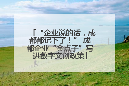 “企业说的话，成都都记下了！” 成都企业“金点子”写进数字文创政策