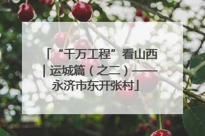 “千万工程”看山西｜运城篇（之二）——永济市东开张村