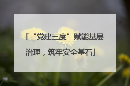 “党建三度”赋能基层治理，筑牢安全基石