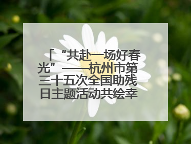 “共赴一场好春光”——杭州市第三十五次全国助残日主题活动共绘幸福答卷（组图）