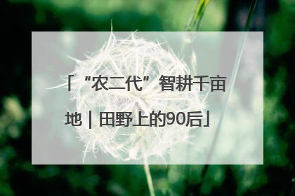 “农二代”智耕千亩地｜田野上的90后