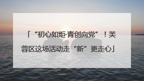 “初心如炬·青创向党”！芙蓉区这场活动走“新”更走心