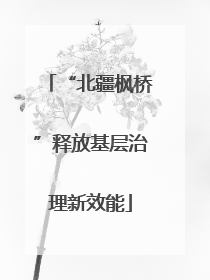 “北疆枫桥”释放基层治理新效能