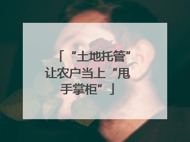 “土地托管”让农户当上“甩手掌柜”