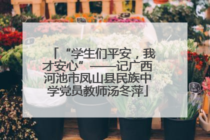 “学生们平安，我才安心”——记广西河池市凤山县民族中学党员教师汤冬萍