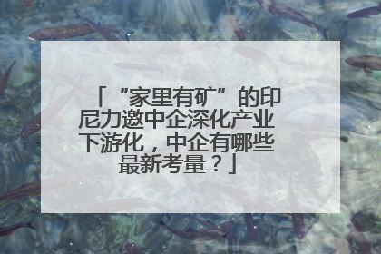 “家里有矿”的印尼力邀中企深化产业下游化，中企有哪些最新考量？