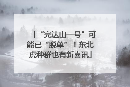 “完达山一号”可能已“脱单”！东北虎种群也有新喜讯