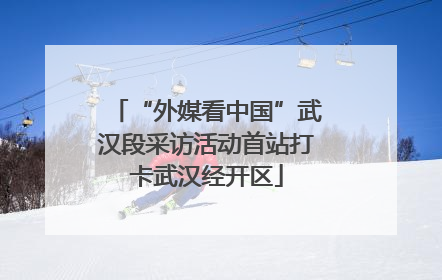 “外媒看中国”武汉段采访活动首站打卡武汉经开区