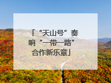 “天山号”奏响“一带一路”合作新乐章