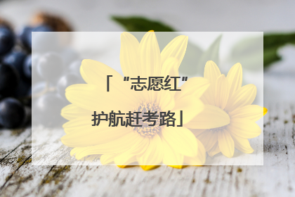“志愿红”护航赶考路