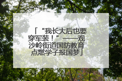 “我长大后也要穿军装！”——观沙岭街道国防教育点燃学子报国梦