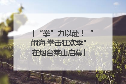 “拳”力以赴！“闹海·拳击狂欢季”在烟台莱山启幕