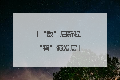 “数”启新程 “智”领发展
