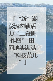 “新”潮澎湃勾勒活力“三夏耕作图” 田间地头满满“科技范儿”