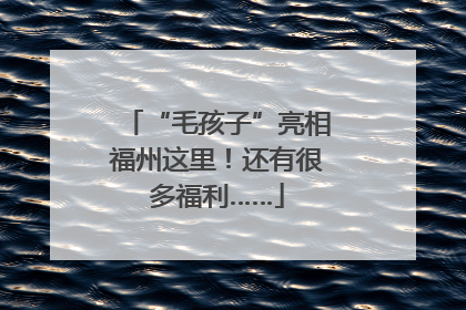 “毛孩子”亮相福州这里！还有很多福利……
