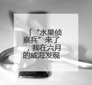 “水果侦察兵”来了，我在六月的威海发现了它！