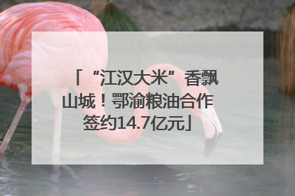 “江汉大米”香飘山城！鄂渝粮油合作签约14.7亿元
