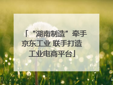 “湖南制造”牵手京东工业 联手打造工业电商平台
