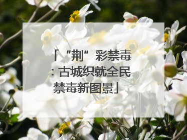 “荆”彩禁毒：古城织就全民禁毒新图景