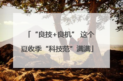 “良技+良机” 这个夏收季“科技范”满满