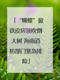 “蝴蝶”掀铁皮房顶吹倒大树 海南消防部门紧急排险