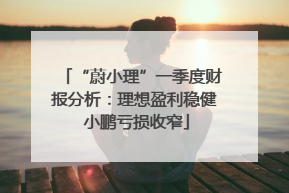 “蔚小理”一季度财报分析：理想盈利稳健 小鹏亏损收窄
