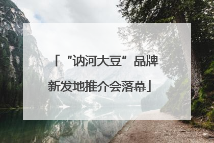 “讷河大豆”品牌新发地推介会落幕