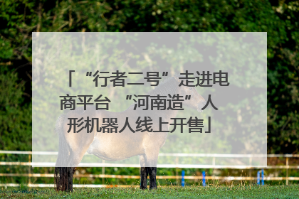 “行者二号”走进电商平台 “河南造”人形机器人线上开售