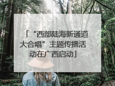 “西部陆海新通道大合唱”主题传播活动在广西启动
