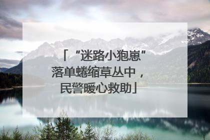 “迷路小狍崽”落单蜷缩草丛中，民警暖心救助