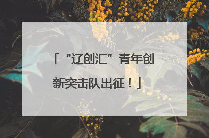 “辽创汇”青年创新突击队出征！