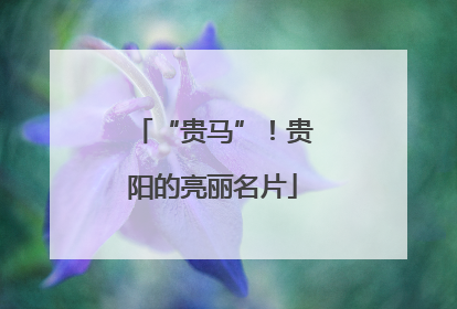 “贵马”！贵阳的亮丽名片