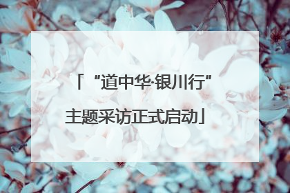 “道中华·银川行”主题采访正式启动