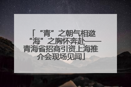 “青”之朝气相邀 “海”之胸怀奔赴——青海省招商引资上海推介会现场见闻