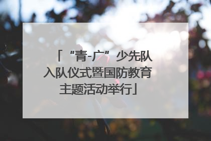 “青-广”少先队入队仪式暨国防教育主题活动举行