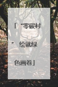 “零碳村” 绘就绿色画卷